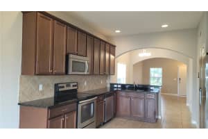 1147 HONEY BLOSSOM DRIVE, ORLANDO, FL 32824 Sold 12/13/24