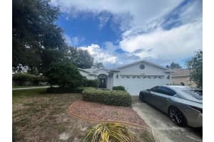 1009 FOREST BREEZE PATH, LEESBURG, FL 34748 Sold 04/25/25