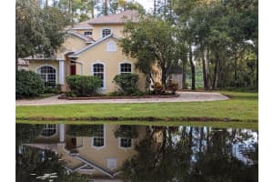 23713 ACORN HILL DRIVE, LUTZ, FL 33559 Sold 07/31/25