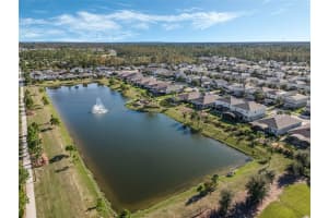 17328 BRACKEN FERN LANE, CLERMONT, FL 34714 Sold 02/14/25