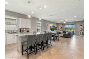 17328 BRACKEN FERN LANE, CLERMONT, FL 34714 Sold 02/14/25
