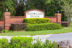 233 HIDDEN VIEW DRIVE, GROVELAND, FL 34736 Sold 01/30/25