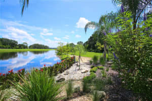 10988 DOWN PARK LANE, WINDERMERE, FL 34786 Sold 06/25/25