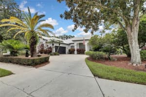18705 CHEMILLE DRIVE, LUTZ, FL 33558 Sold 01/06/25