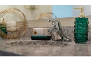 4574 BOXWOOD WAY, MOUNT DORA, FL 32757 Sold 01/10/25