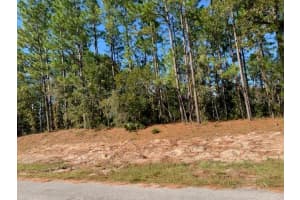 SW 140TH PL, OCALA, FL 34473 Sold 04/14/25