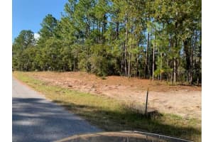 SW 140TH PL, OCALA, FL 34473 Sold 04/14/25
