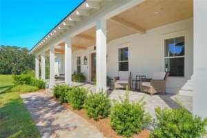 15217 FARM STAND COURT, WINTER GARDEN, FL 34787 - MLS#MFRO6252886