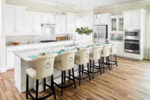 2216 SEAGRASS POINT, KISSIMMEE, FL 34747 Sold 12/26/24