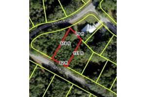 LOCUST RUN, OCALA, FL 34472 Sold 12/23/24