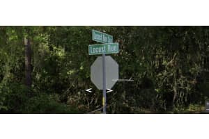 LOCUST RUN, OCALA, FL 34472 Sold 12/23/24