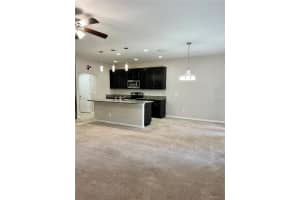 1065 PALMA VERDE PLACE, APOPKA, FL 32712 Sold 03/14/25