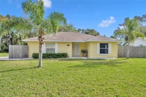 3113 MANGO TREE DRIVE, EDGEWATER, FL 32141 Sold 12/04/24