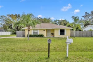 3113 MANGO TREE DRIVE, EDGEWATER, FL 32141 Sold 12/04/24
