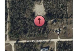 NE 14TH ST, WILLISTON, FL 32696 - MLS#MFRO6254148