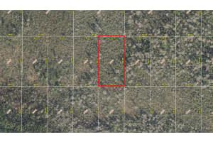 INTERNATIONAL DR S, ORLANDO, FL 32821 Sold 01/29/25