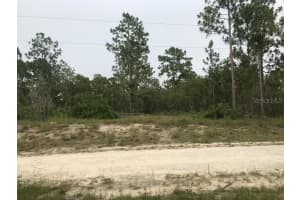 0 146TH TERRACE, WILLISTON, FL 32696 Sold 12/09/24