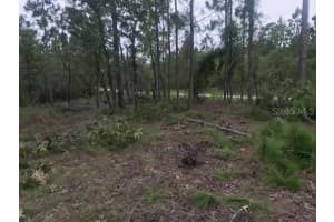 0 146TH TERRACE, WILLISTON, FL 32696 Sold 12/09/24