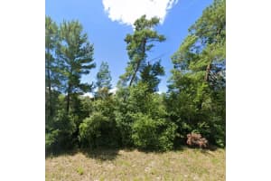 TBD 33 ROAD, OCALA, FL 34473 Sold 11/29/24