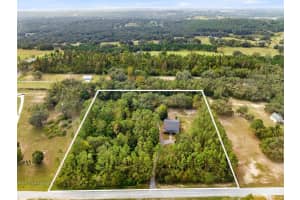 11746 BRUCE HUNT ROAD, CLERMONT, FL 34715 Sold 01/29/25