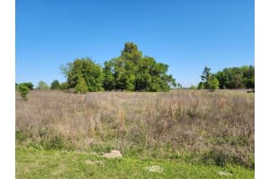 14905 29TH LANE, OCALA, FL 34481 Sold 01/18/25