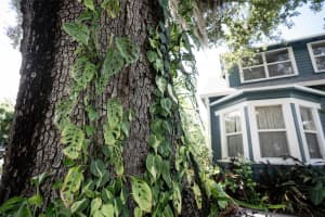 806 CYPRESS AVENUE, SANFORD, FL 32771 Sold 04/21/25