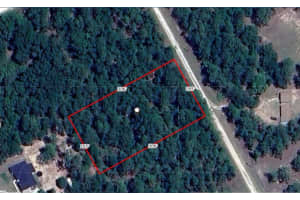SW 128 TERRACE ROAD, OCALA, FL 34481 Sold 12/03/24