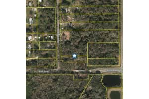 3003 RIVERDALE ROAD, ORLANDO, FL 32817 - MLS#MFRO6255249