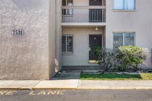 7531 PITCH PINE CIRCLE, TAMPA, FL 33617 Sold 12/31/24