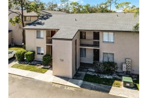 7531 PITCH PINE CIRCLE, TAMPA, FL 33617 Sold 12/31/24
