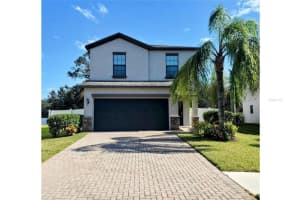 20049 SATIN LEAF AVENUE, TAMPA, FL 33647 Sold 01/24/25