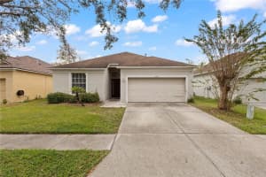 19135 WOOD SAGE DRIVE, TAMPA, FL 33647 Sold 12/17/24