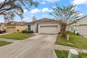 19135 WOOD SAGE DRIVE, TAMPA, FL 33647 Sold 12/17/24