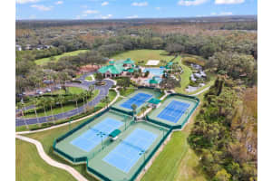 19135 WOOD SAGE DRIVE, TAMPA, FL 33647 Sold 12/17/24