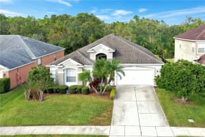 3179 HANGING MOSS CIRCLE, KISSIMMEE, FL 34741 Sold 03/03/25