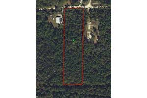 SWAMP DEER RD, NEW SMYRNA BEACH, FL 32168 Sold 01/10/25