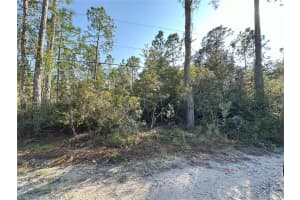 SWAMP DEER RD, NEW SMYRNA BEACH, FL 32168 Sold 01/10/25