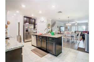 10342 ECHO DOCK LOOP, SAN ANTONIO, FL 33576 Sold 06/06/25