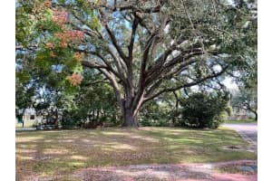 7607 PLANTATION DRIVE, ORLANDO, FL 32810 Sold 01/08/25