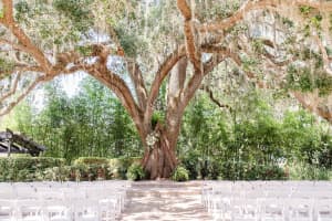 27700 COUNTY ROAD 44A, EUSTIS, FL 32736 Sold 03/21/25