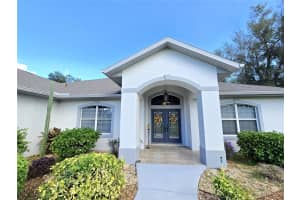 27440 HAMMOCK VIEW COURT, YALAHA, FL 34797 Sold 01/31/25