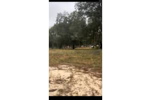 12144 GOPHER POINT, DUNNELLON, FL 34433 - MLS#MFRO6257851
