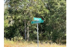 60 GOLDCOAST PLACE, DUNNELLON, FL 34434 Sold 12/13/24