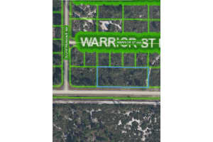 529 TOBLER BOULEVARD, LAKE PLACID, FL 33852 Sold 06/20/25