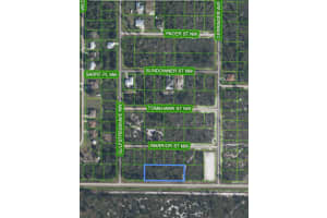 529 TOBLER BOULEVARD, LAKE PLACID, FL 33852 Sold 06/20/25