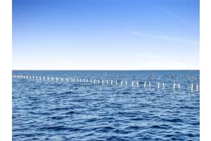 9745 306TH COURT, FORT MC COY, FL 32134 Sold 06/18/25