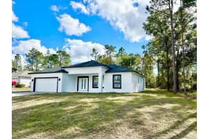 1564 CARY DRIVE, CITRUS SPRINGS, FL 34434 - MLS#MFRO6258551