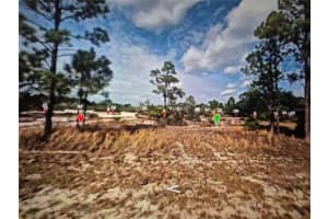 547 BRANCHWOOD AVENUE, LAKE PLACID, FL 33852 Sold 12/03/24