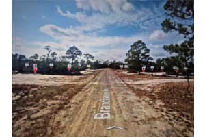 547 BRANCHWOOD AVENUE, LAKE PLACID, FL 33852 Sold 12/03/24