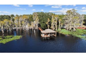 10217 LAKE LOUISA ROAD, CLERMONT, FL 34711 Sold 02/25/25